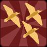 Avian migration Trophy