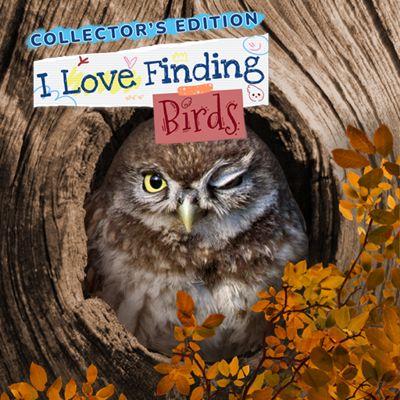 I Love Finding Birds