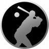Home Run Trophy