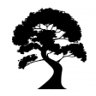 Of The Mind Trophy