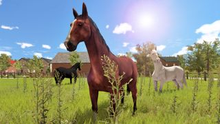 My Little Riding Champion Screenshot 5