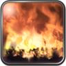 Fallen Hero Trophy