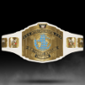 Birth of an IC Champion Trophy
