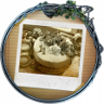 Sweet Tooth Trophy