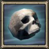 Second to none Trophy