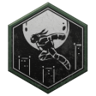 When Turtles Fly Trophy