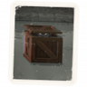 I Did Not-See You Trophy