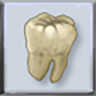Teeth Trophy