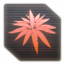Planting juice Trophy