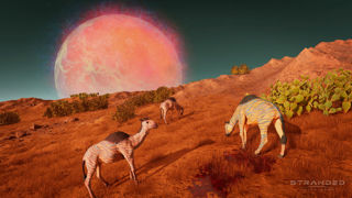 Stranded: Alien Dawn Screenshot 3