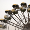 The community of the ostrich Trophy