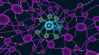 Darknet Screenshot 3