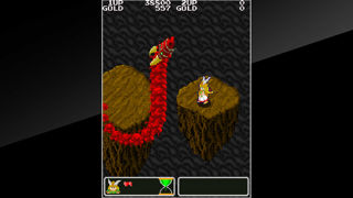 Arcade Archives: The Legend of Valkyrie Screenshot 4