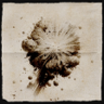 Love for explosions Trophy
