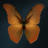 Just Breathe Trophy