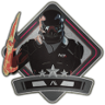 Close Combat Specialist Trophy