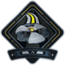 Rough Landing Trophy