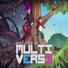 What Lies in the Multiverse