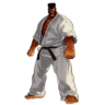 Witness the full power of the Kyokugenryu karate! Trophy