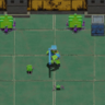 Novice Exterminator Trophy