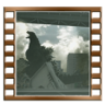 Amateur Photographer Trophy