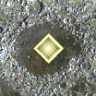 Mare Crisium: Collection Trophy