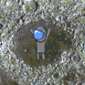 Mare Crisium: Walkthrough Trophy