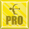 Pro Archer Trophy