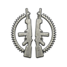 Dual-wield expert Trophy