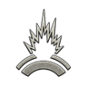 Hardened Trophy