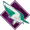 Shark on Shark Violence Trophy