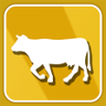 Breeder Trophy