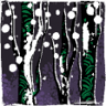 Snow Season Trophy