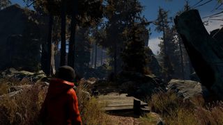 Through the Woods Screenshot 2