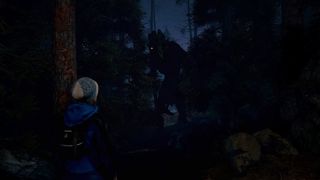 Through the Woods Screenshot 6
