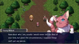 Asdivine Hearts Screenshot 5