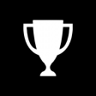 Completionist Trophy