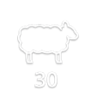 Wool Commander Trophy