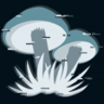 Magic Mushroom Trophy