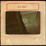 Hide! Trophy