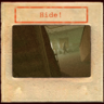 Hide! Trophy