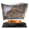 How Fortuitous Trophy