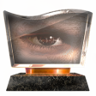 Life Through Kiryu's Eyes Trophy