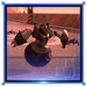 Immovable Object Trophy