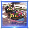 Midgar Full of Flowers Trophy