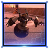 Immovable Object Trophy