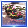 Midgar Full of Flowers Trophy