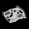 Expedition Trophy