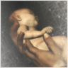 The Birth of an Assassin Trophy