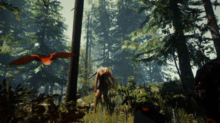 The Forest Screenshot 9